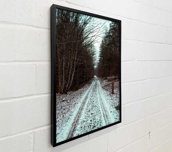 White Snow Forest Path