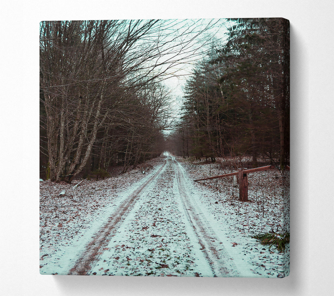  A Canvas Print of White Snow Forest Path Canvas Wall Art