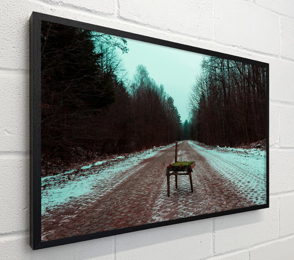 Teal Forest Solitude