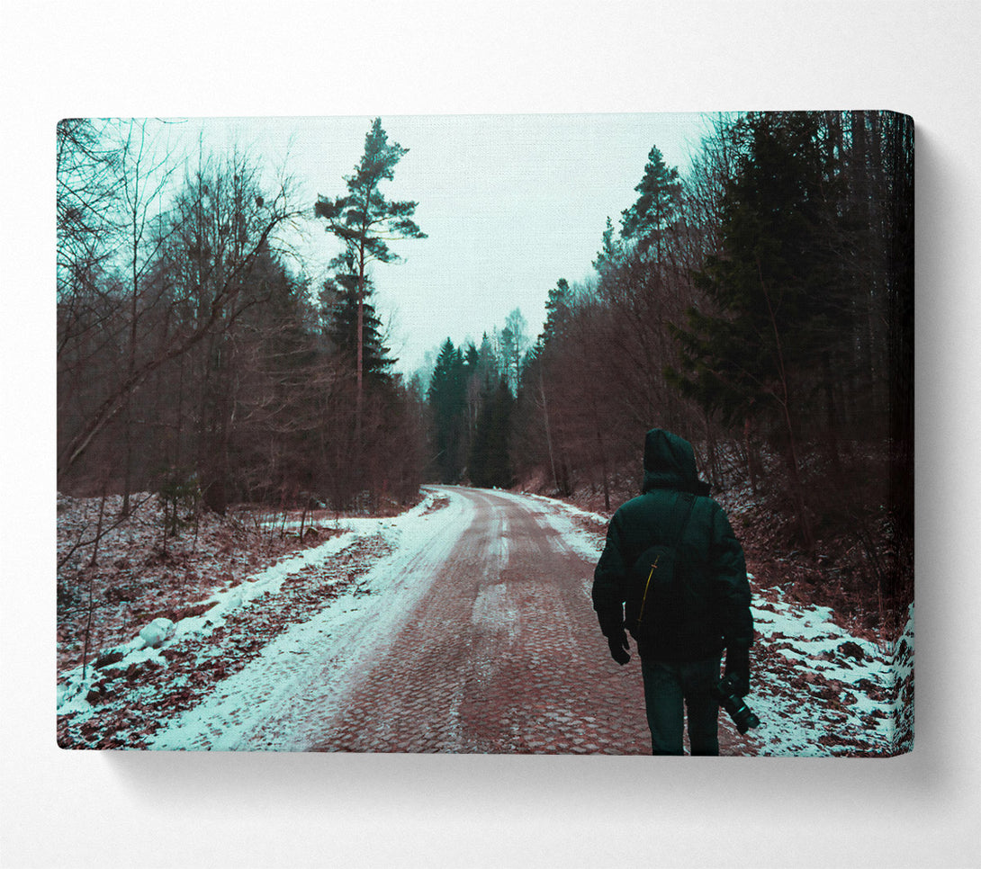  A Canvas Print of Teal Forest Path Canvas Print
