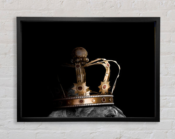 Lion And Lioness Crowns Framed Print