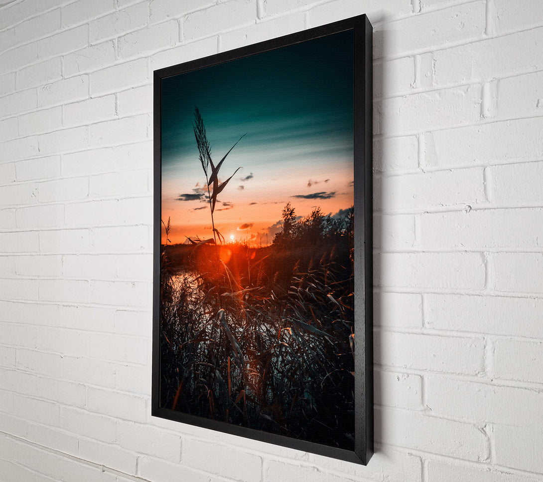  A Canvas Print of Orange Sunset Reeds Canvas Print