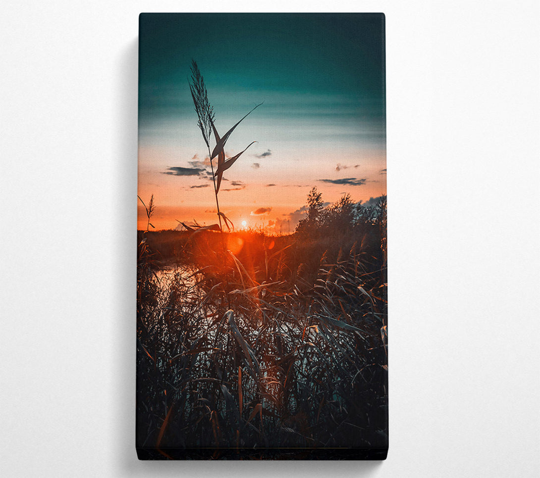  A Canvas Print of Orange Sunset Reeds Canvas Print