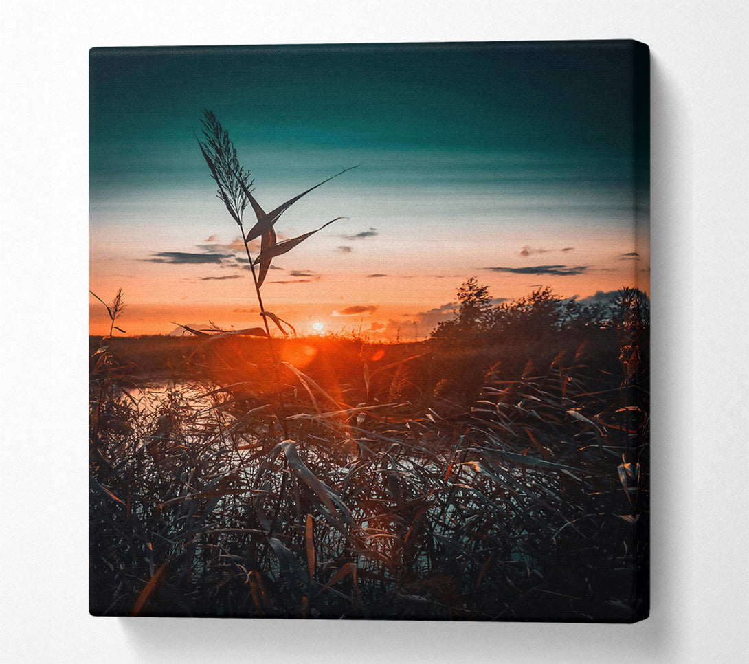  A Canvas Print of Orange Sunset Reeds Canvas Print