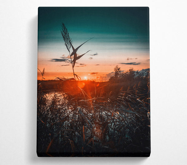  A Canvas Print of Orange Sunset Reeds Canvas Print