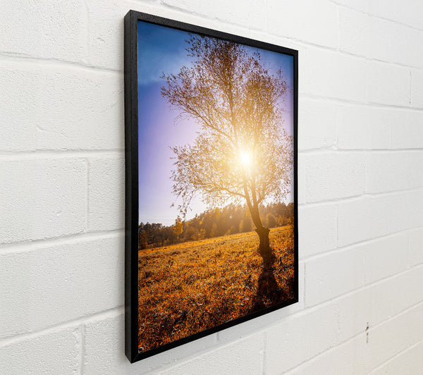 Golden Sunlit Tree