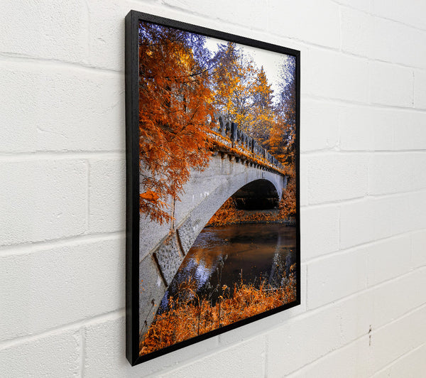 Orange Bridge Over Creek