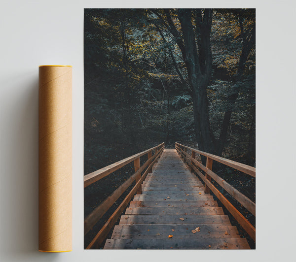 Brown Steps Through Woods Poster