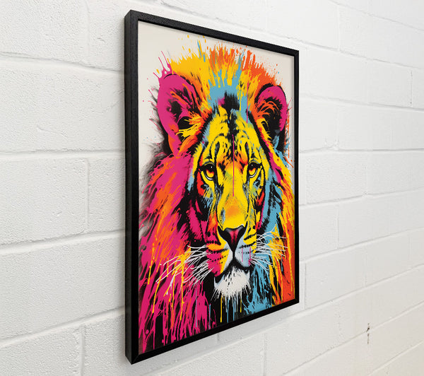 Lion Rainbow