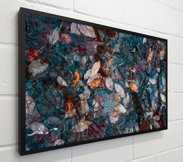 Teal Autumn Leaves