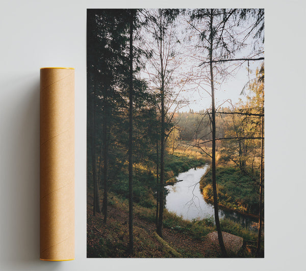 Golden River Through Trees Giclee Print