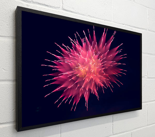 Crimson Starburst Symphony