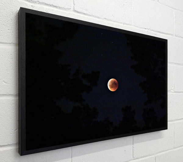 Crimson Lunar Eclipse