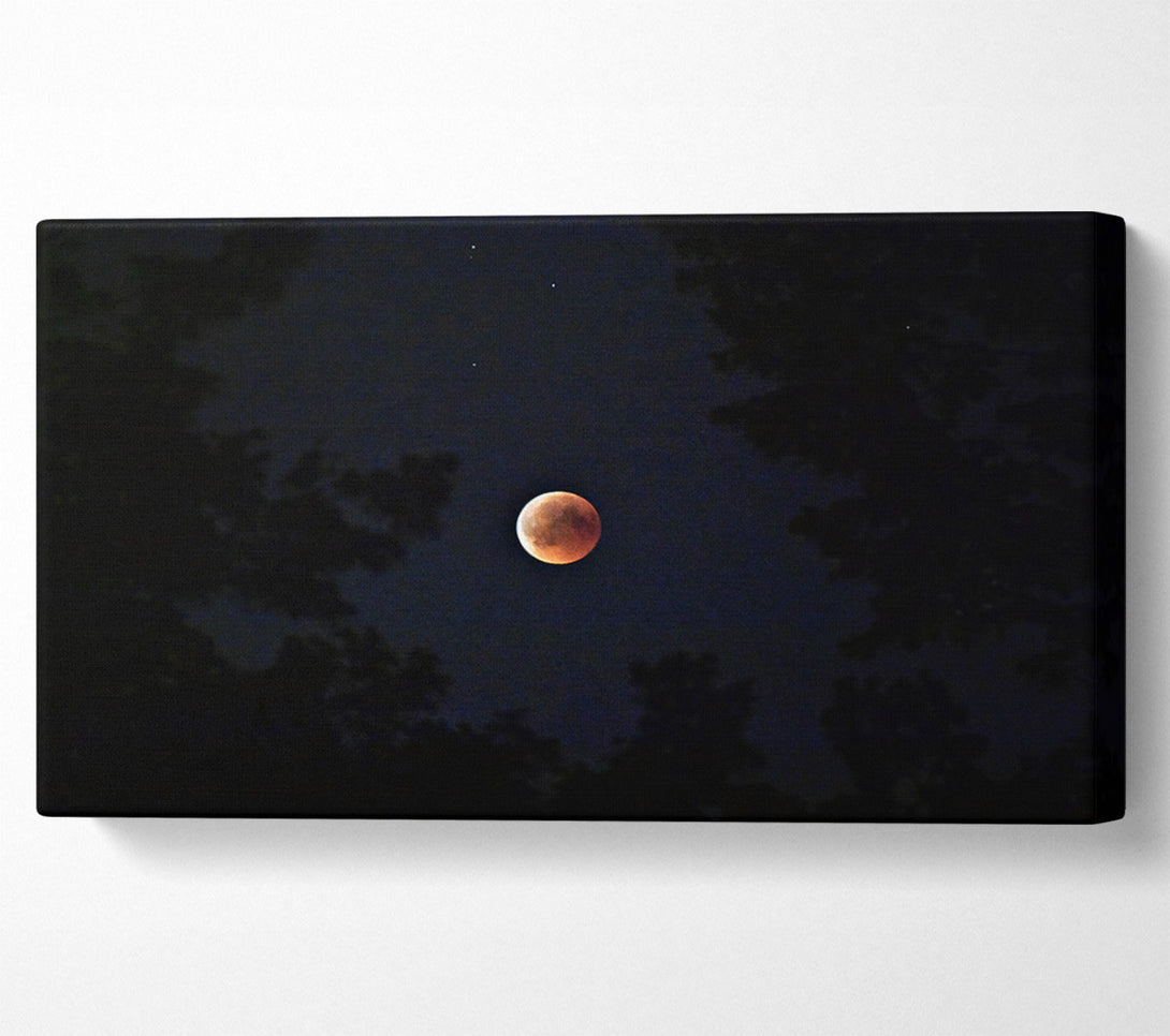  A Canvas Print of Crimson Lunar Eclipse Canvas Wall Art