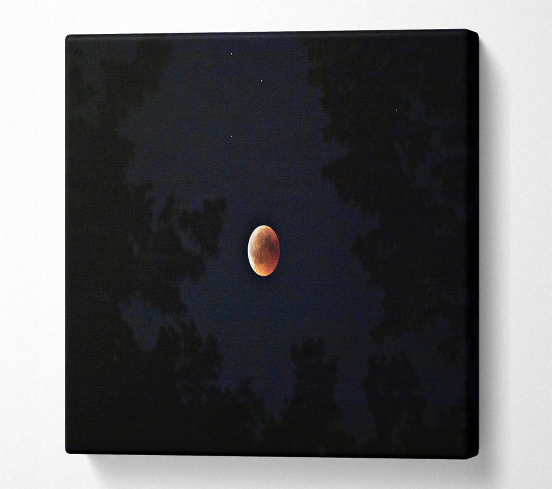  A Canvas Print of Crimson Lunar Eclipse Canvas Wall Art