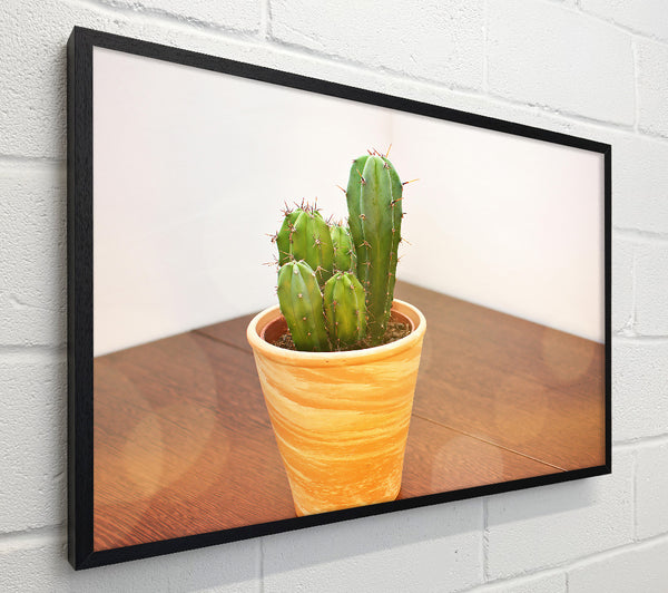 Terracotta Cactus Cluster