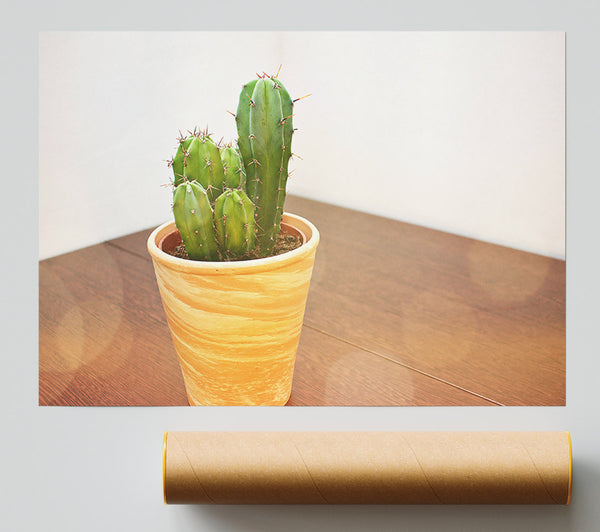 Terracotta Cactus Cluster Giclee Print