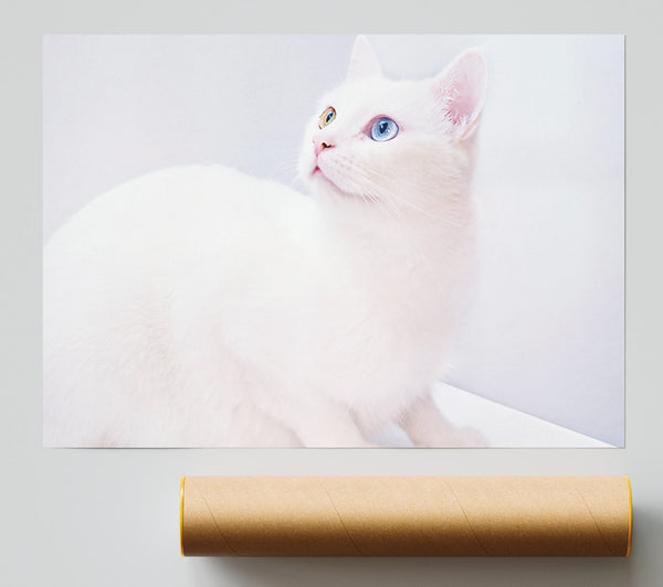 White Dreamy Gaze Print