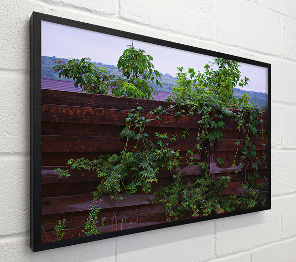 Dark Green Vines