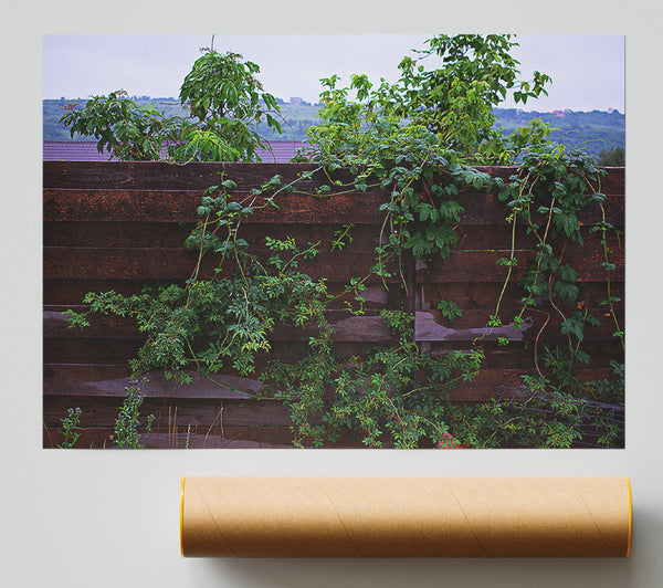 Dark Green Vines Print
