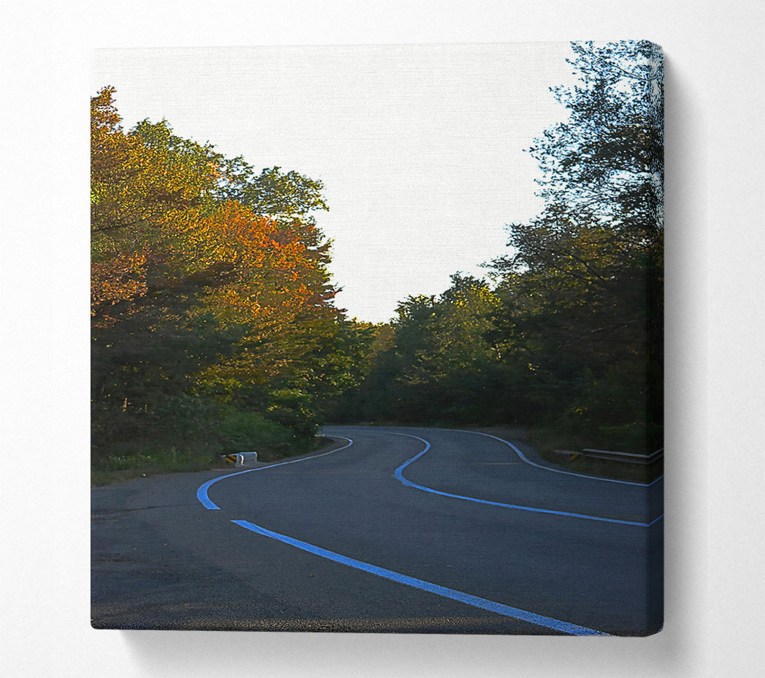  A Canvas Print of Autumn Road'S Curve Canvas Wall Art