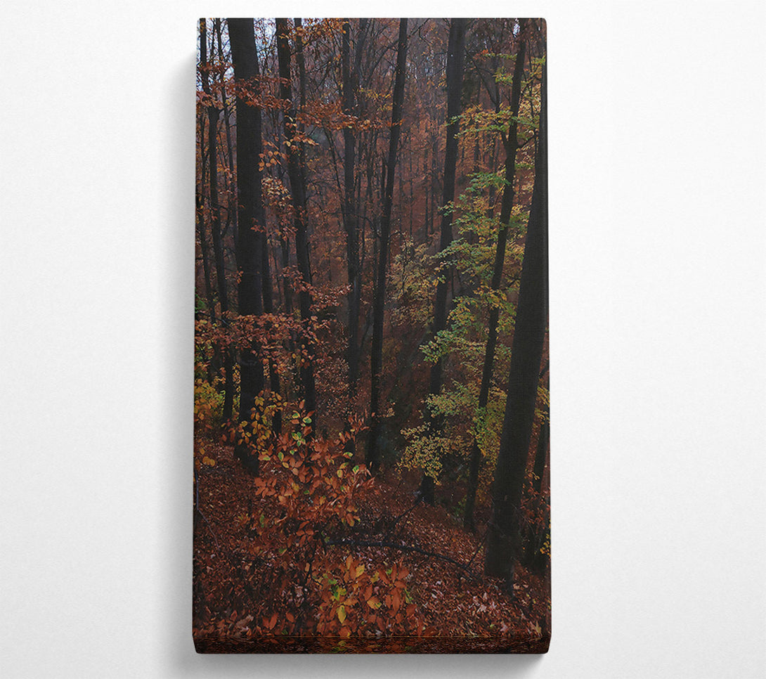  A Canvas Print of Autumn'S Dark Crimson Forest Canvas Art