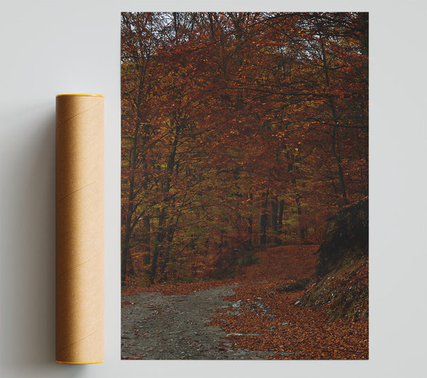 Autumn'S Orange Path Giclee Print