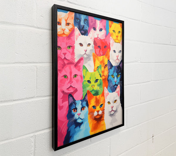 Lots Of Cats