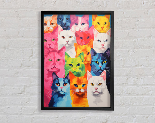 Lots Of Cats