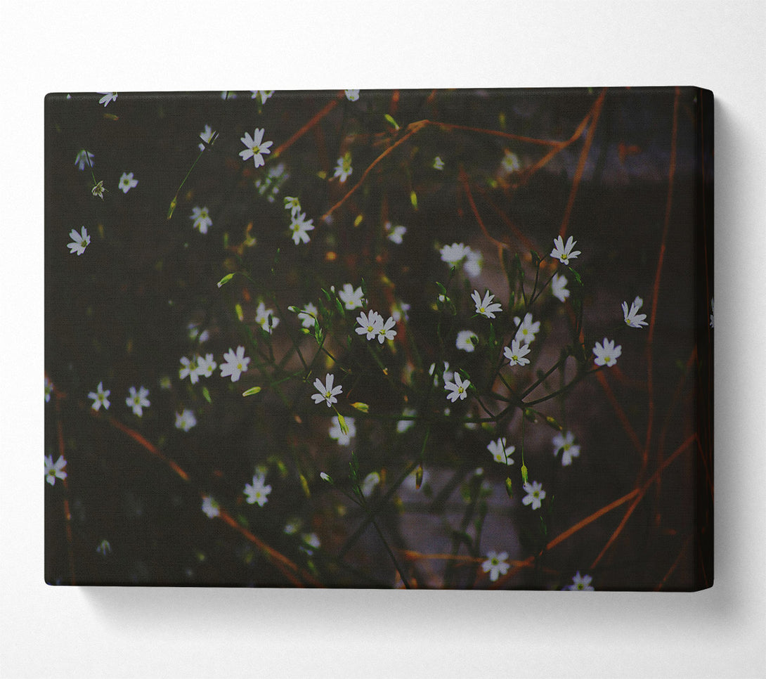  A Canvas Print of Dark Green Blooms Canvas Print