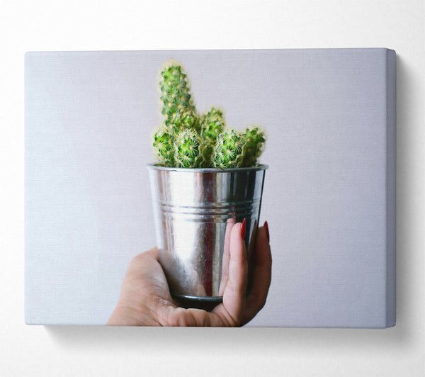  A Canvas Print of Silver Cactus Bloom Canvas Wall Art
