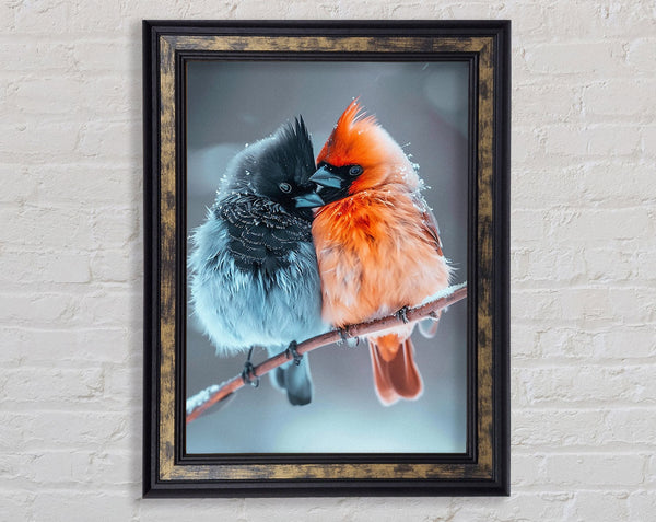 Love Birds Framed Print
