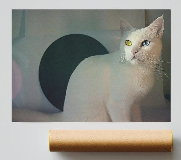White Cat & Black Circle Giclee Print