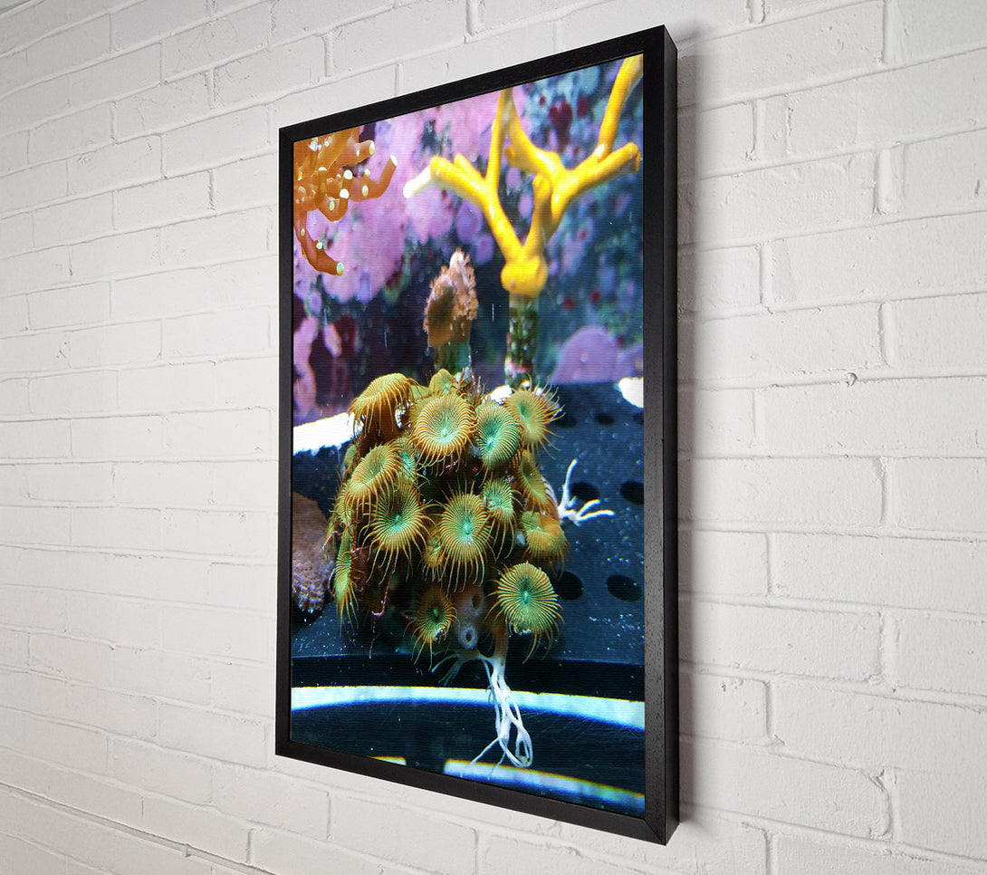  A Canvas Print of Green And Orange Blooms Canvas Art