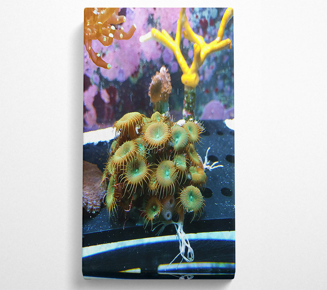  A Canvas Print of Green And Orange Blooms Canvas Art
