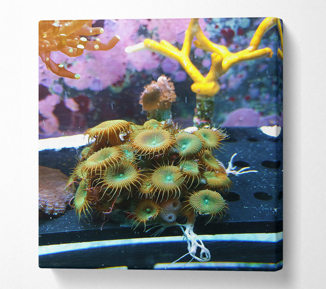  A Canvas Print of Green And Orange Blooms Canvas Art