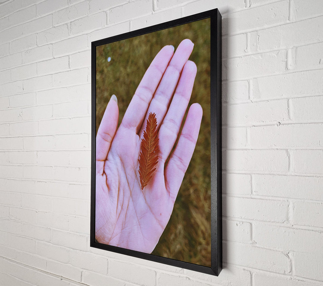  A Canvas Print of Russet Leaf In Palm Canvas Wall Art