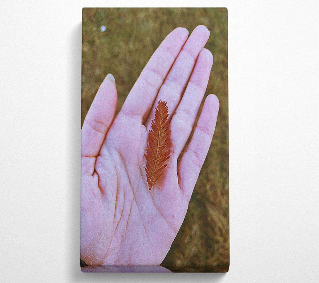  A Canvas Print of Russet Leaf In Palm Canvas Wall Art