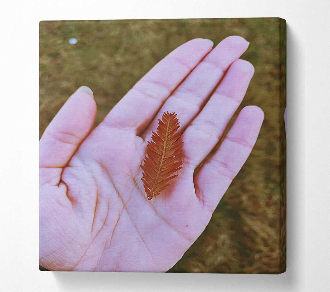  A Canvas Print of Russet Leaf In Palm Canvas Wall Art