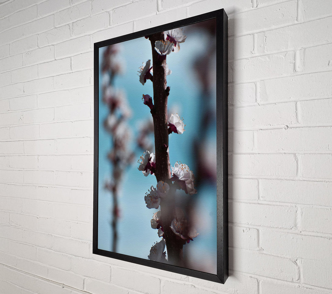  A Canvas Print of Blue And White Blossoms Canvas Wall Art
