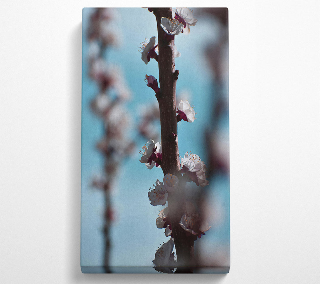  A Canvas Print of Blue And White Blossoms Canvas Wall Art