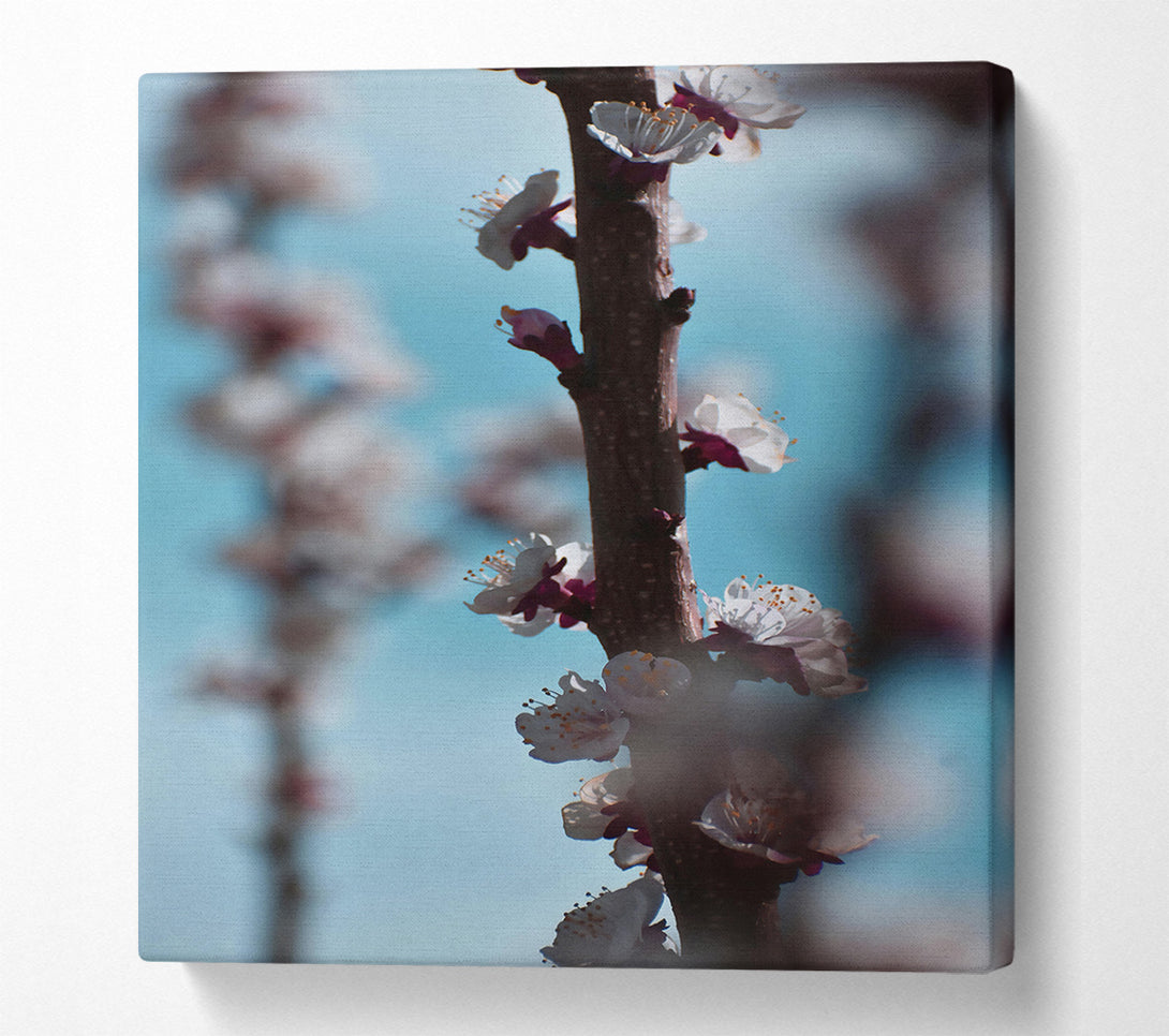  A Canvas Print of Blue And White Blossoms Canvas Wall Art