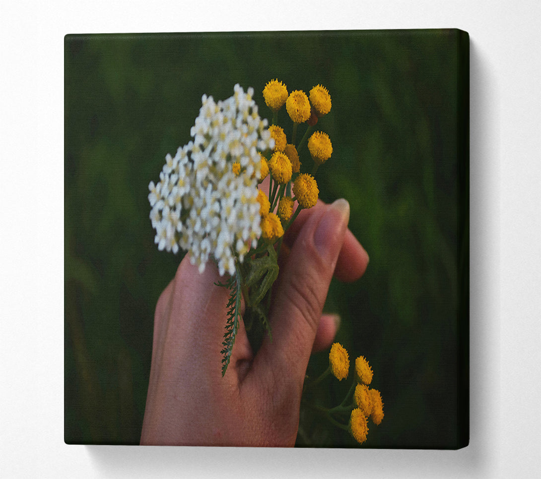  A Canvas Print of Golden Summer Bloom Canvas Art