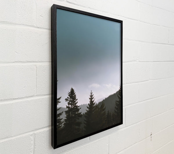 Pale Blue Pines