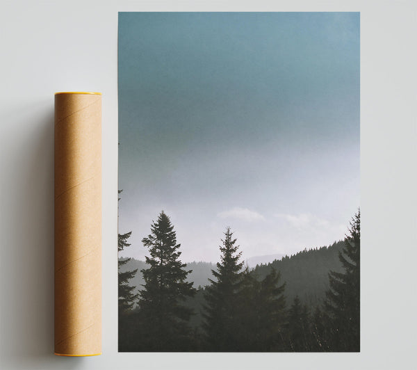 Pale Blue Pines Poster