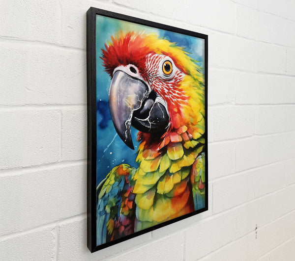 Macaw Parrot Watercolour
