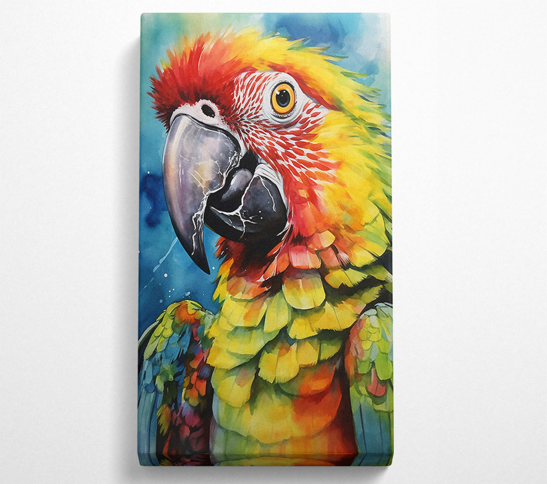  A Canvas Print of Macaw Parrot Watercolour Canvas Print