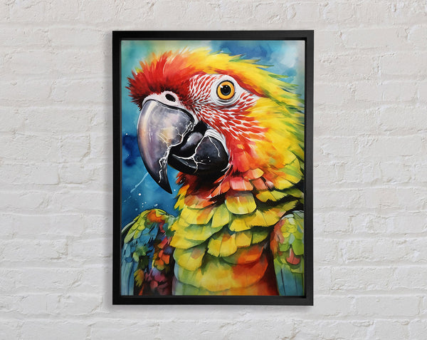 Macaw Parrot Watercolour Framed Print