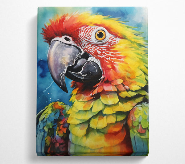 A Canvas Print of Macaw Parrot Watercolour Canvas Print