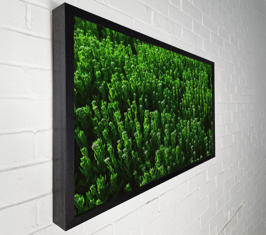  A Canvas Print of Emerald Green Fields Canvas Wall Art